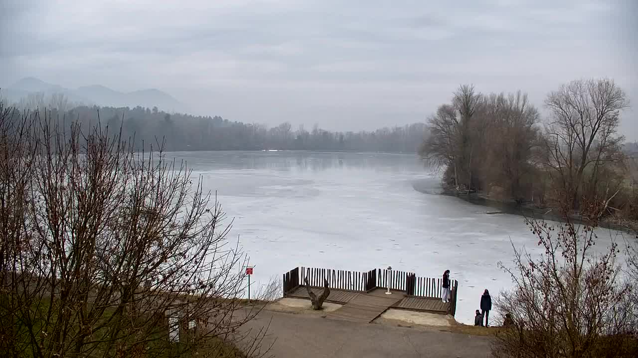 Webcam Ribnik Vrbje – Žalec