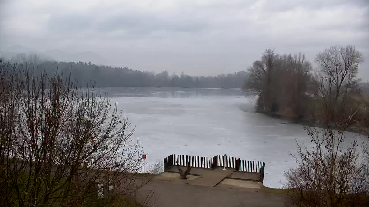 Webcam Ribnik Vrbje – Žalec