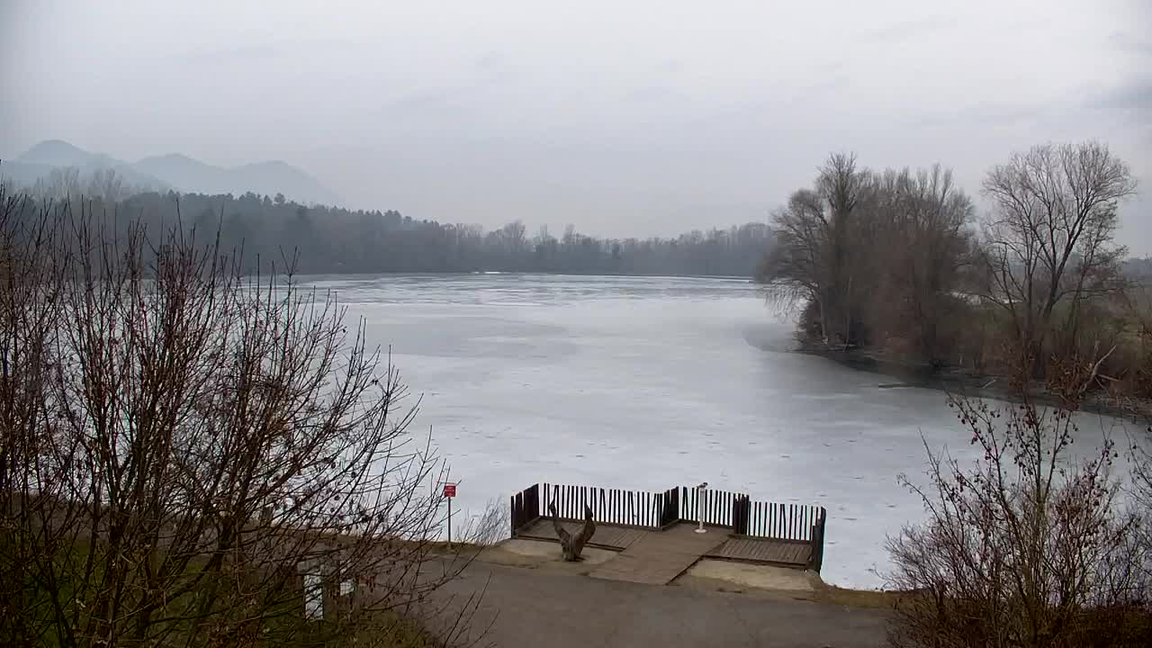 Webcam Ribnik Vrbje – Žalec