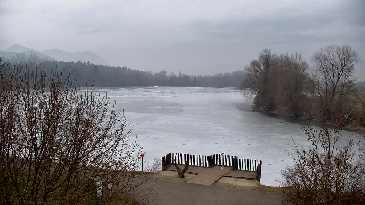 Webcam Ribnik Vrbje – Žalec