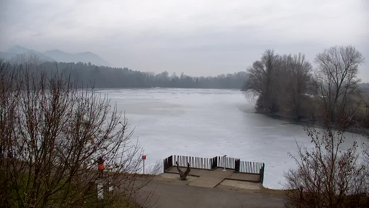 Webcam Ribnik Vrbje – Žalec