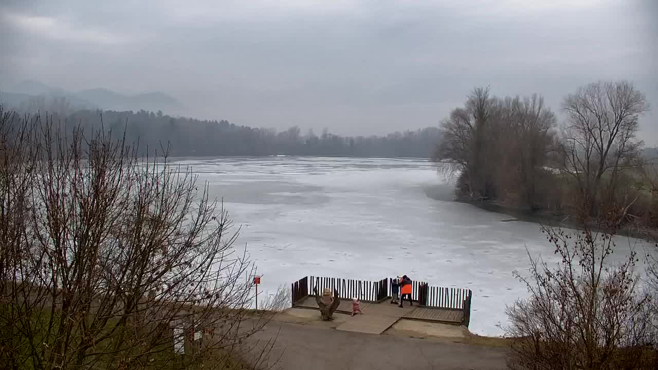 Webcam Ribnik Vrbje – Žalec