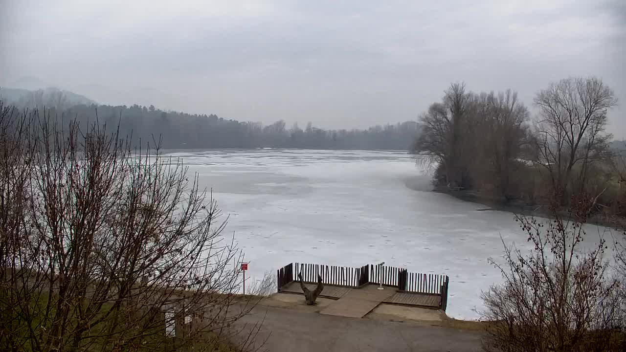 Webcam Ribnik Vrbje – Žalec