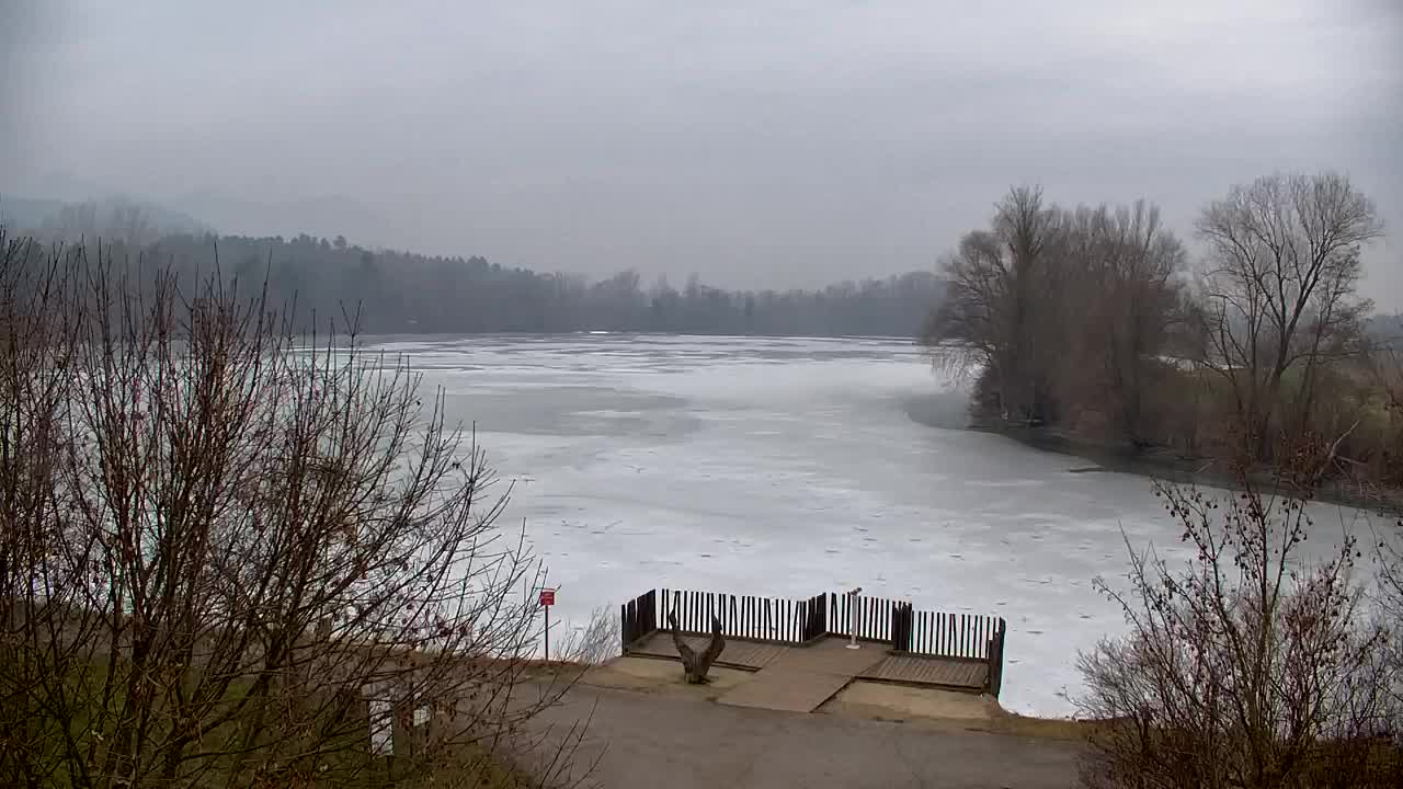 Webcam Ribnik Vrbje – Žalec