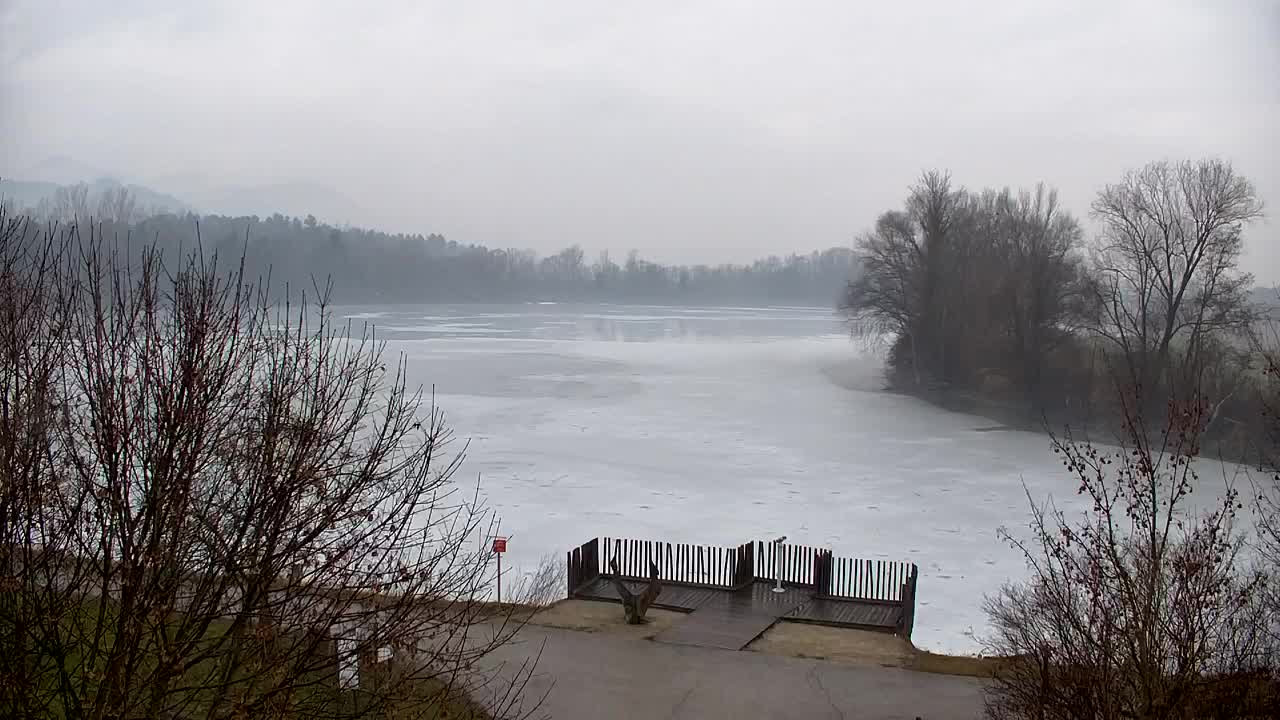 Webcam Ribnik Vrbje – Žalec