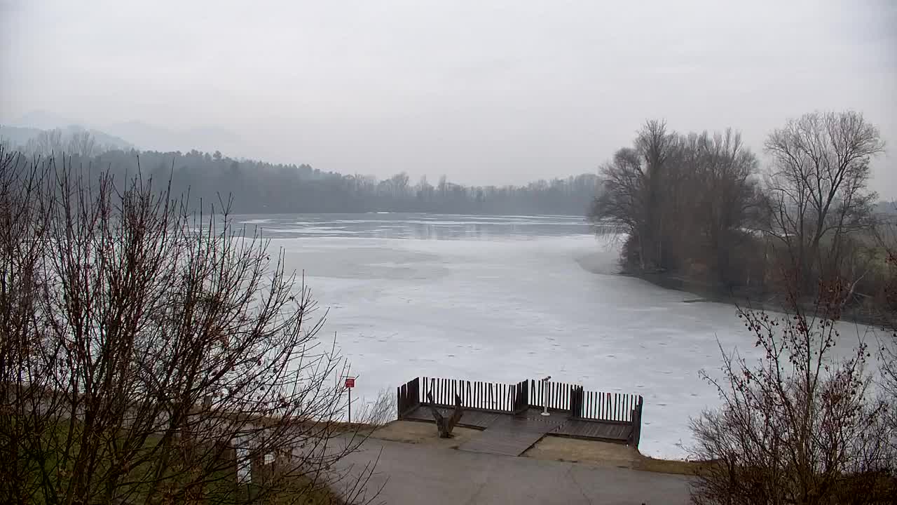 Webcam Ribnik Vrbje – Žalec