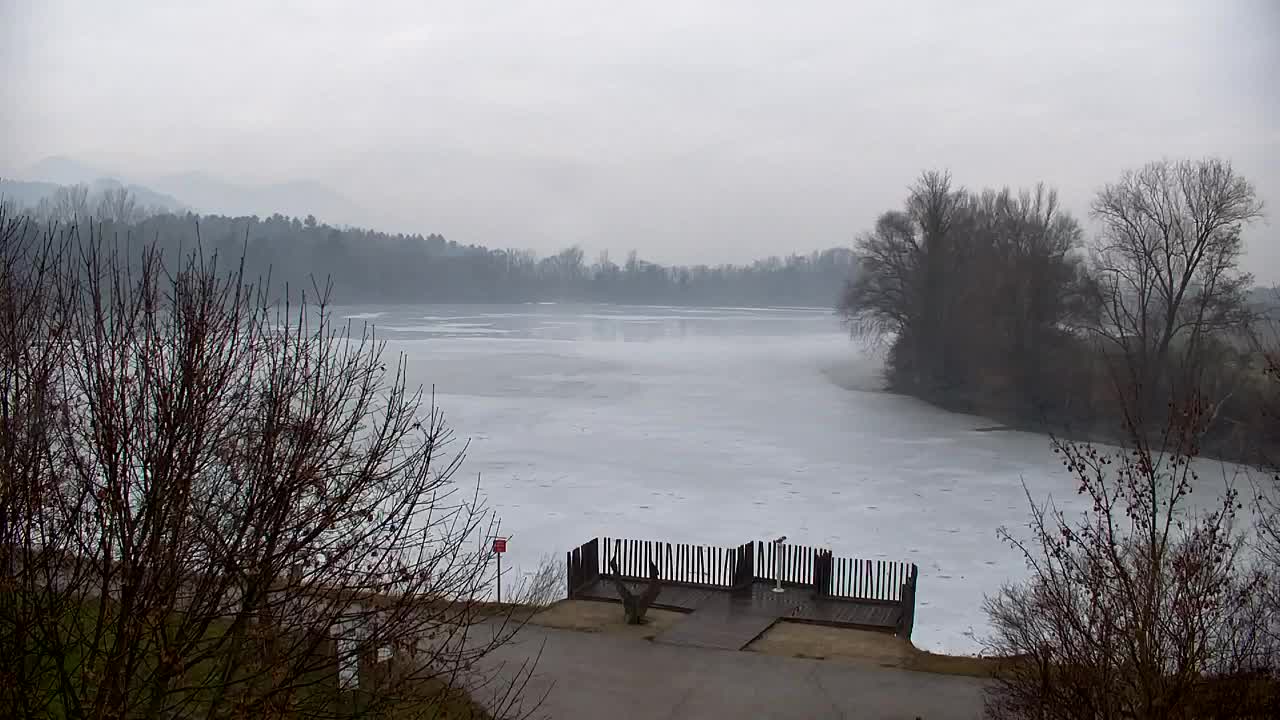 Webcam Ribnik Vrbje – Žalec