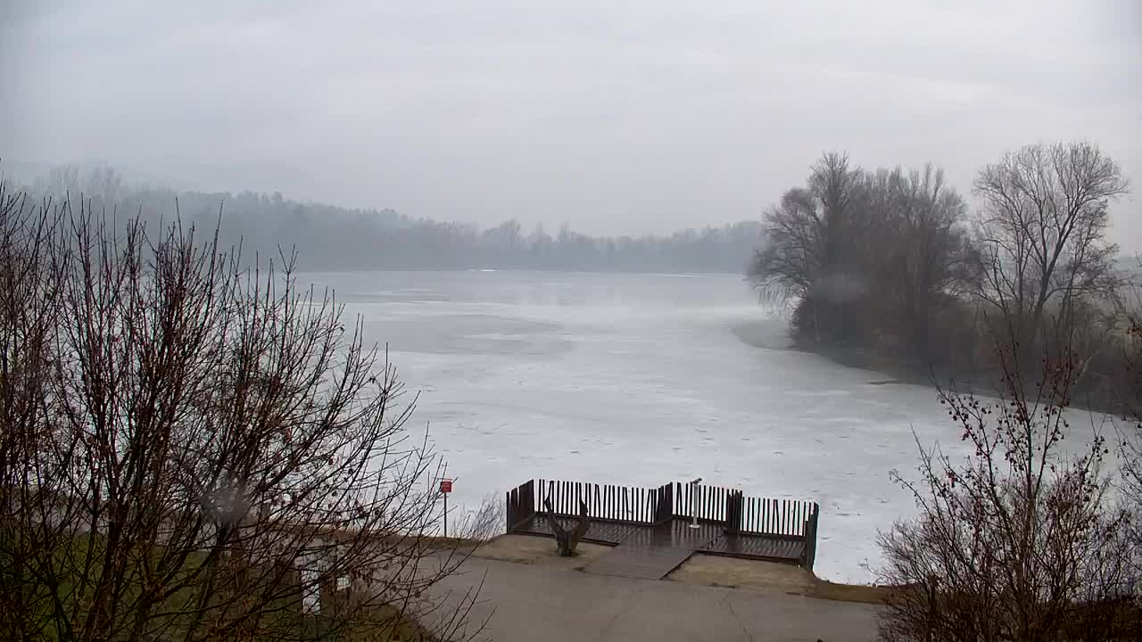 Webcam Ribnik Vrbje – Žalec