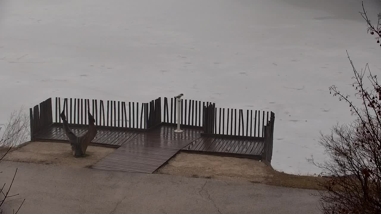 Web kamera Ribnik Vrbje – Žalec