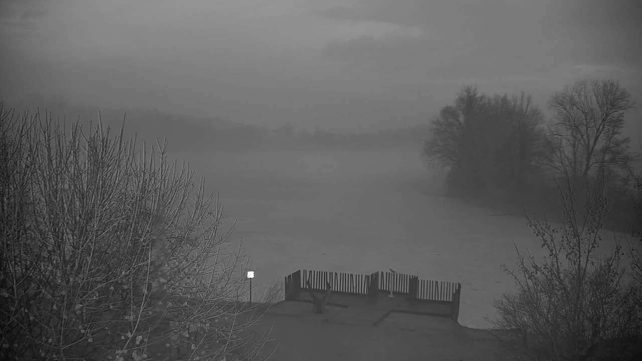 Spletna kamera Ribnik Vrbje – Žalec