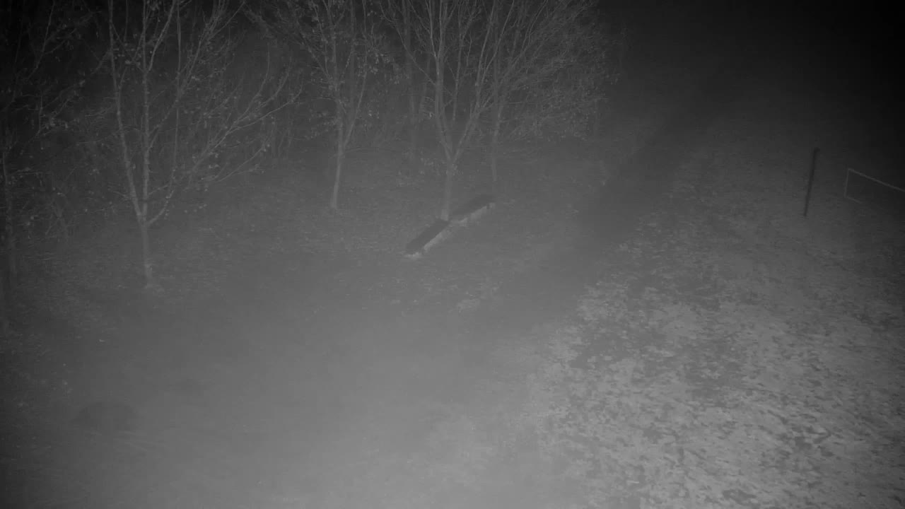 Spletna kamera Ribnik Vrbje – Žalec