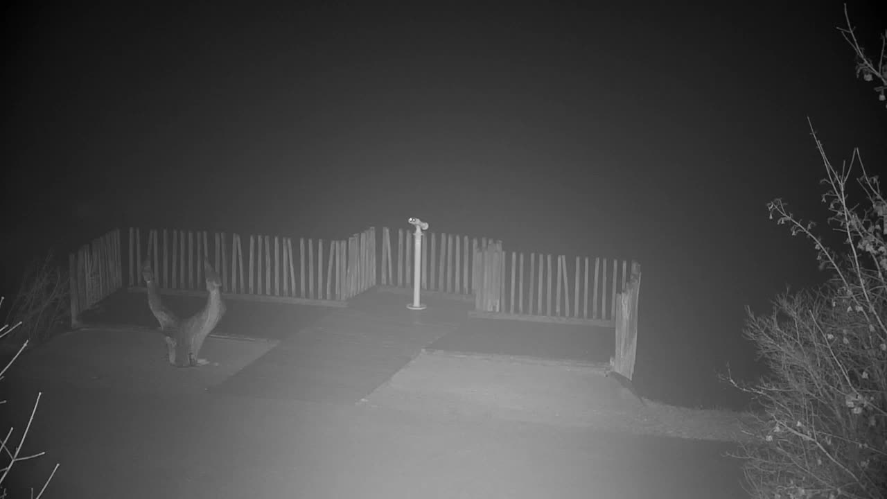 Web kamera Ribnik Vrbje – Žalec