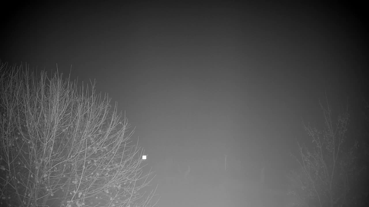 Web kamera Ribnik Vrbje – Žalec