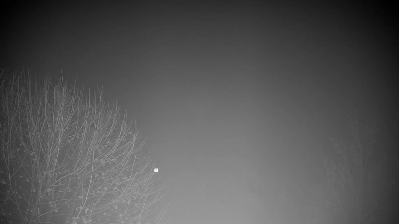 Webcam Ribnik Vrbje – Žalec