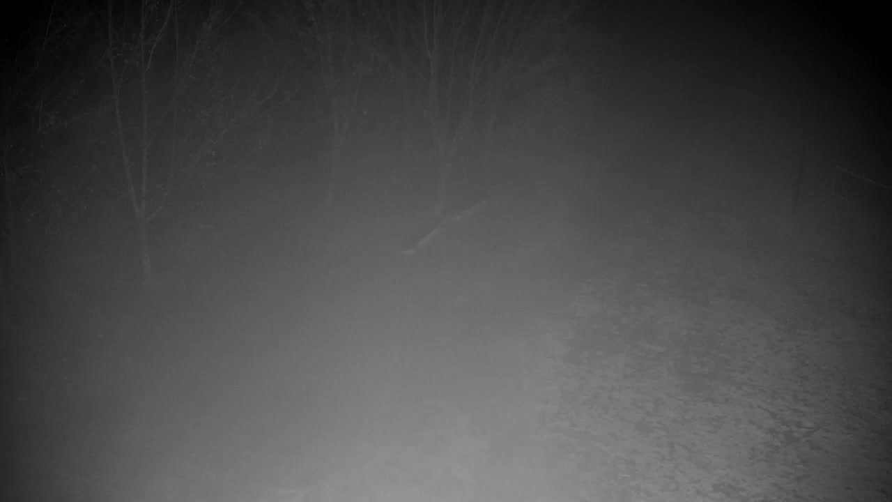 Webcam Ribnik Vrbje – Žalec