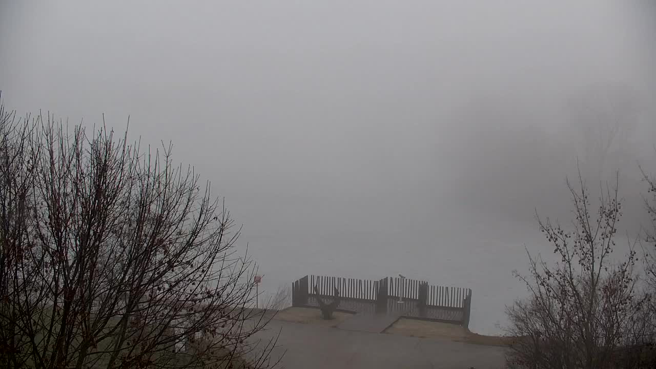 Webcam Ribnik Vrbje – Žalec