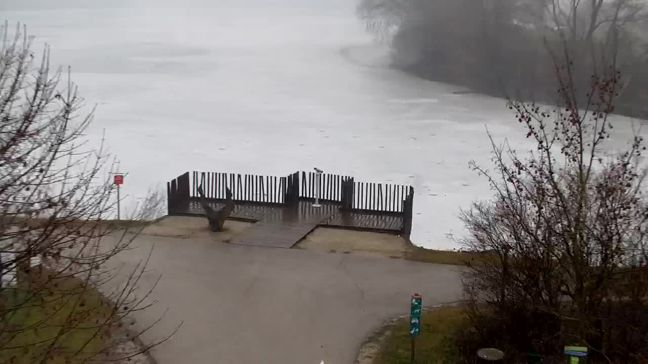 Webcam Ribnik Vrbje – Žalec