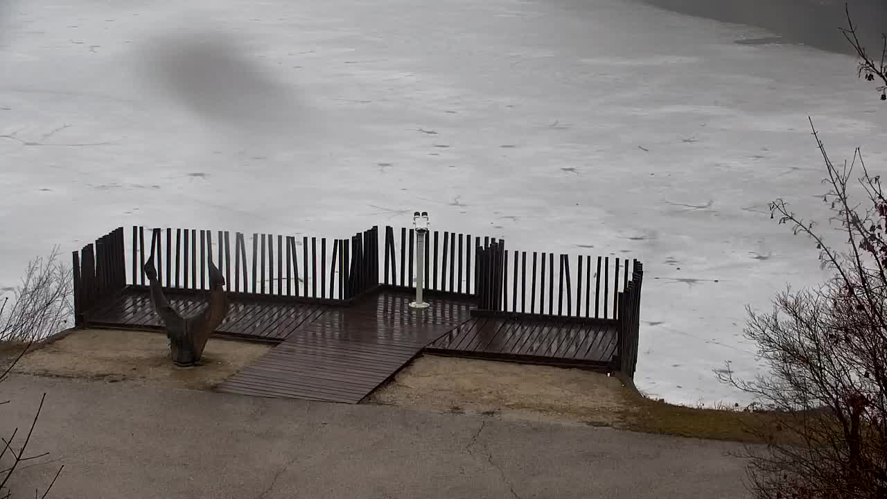 Webcam Ribnik Vrbje – Žalec