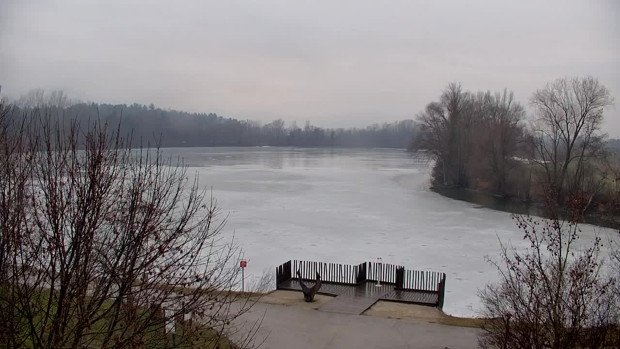 Webcam Ribnik Vrbje – Žalec