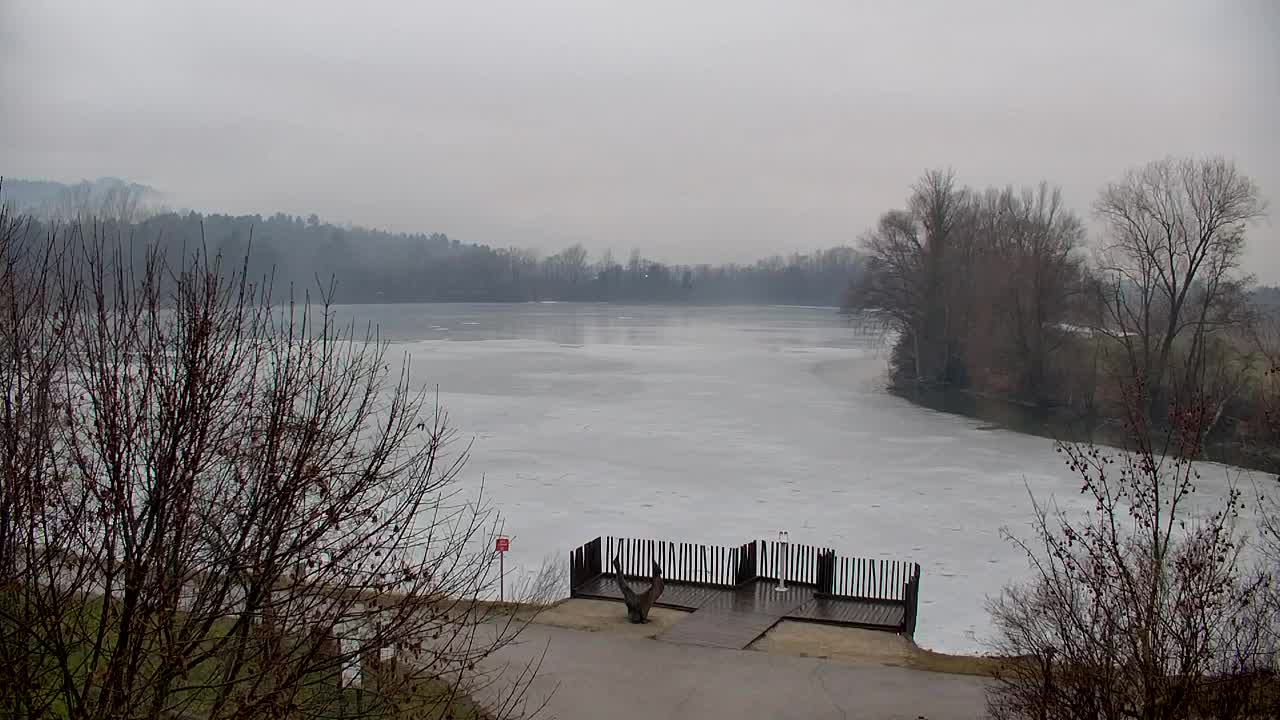 Webcam Ribnik Vrbje – Žalec