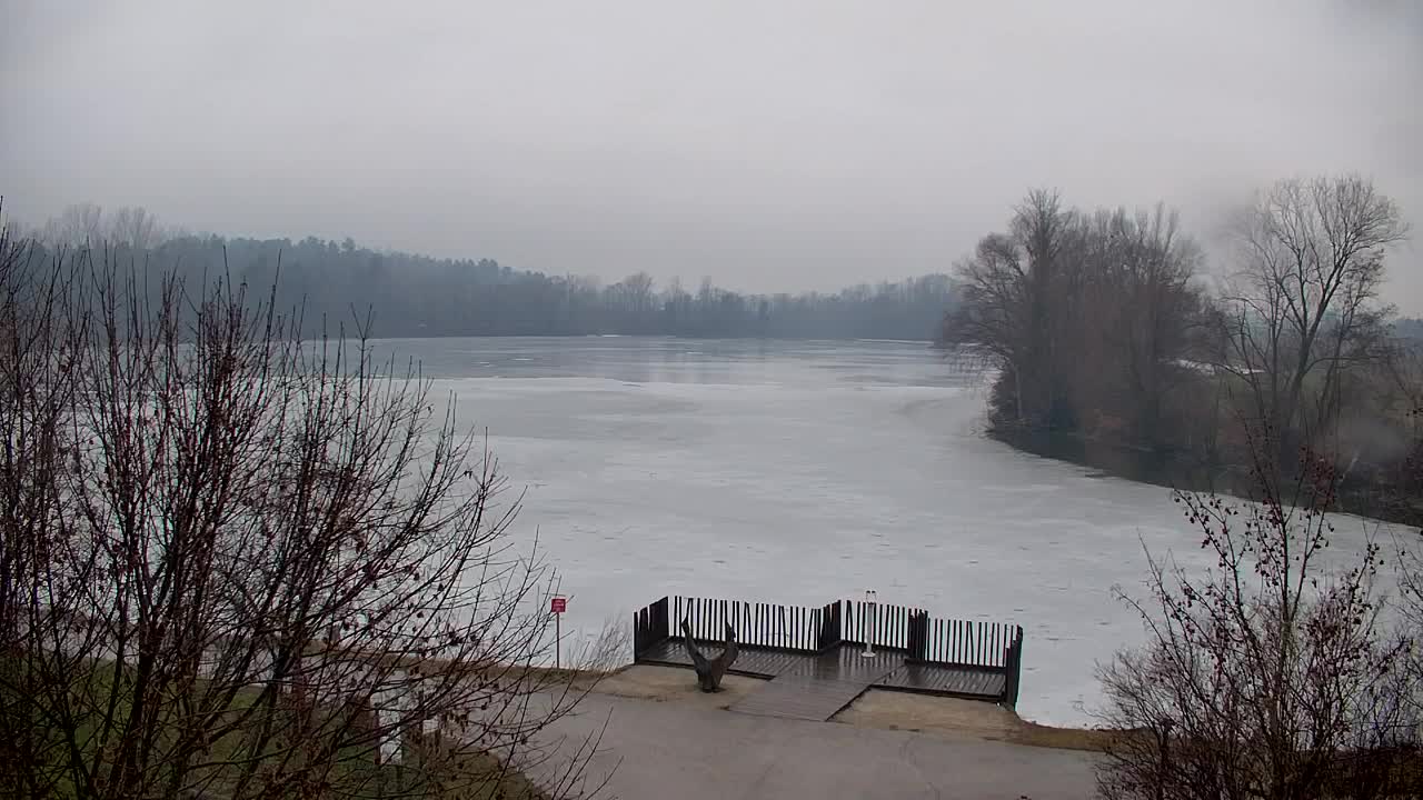 Spletna kamera Ribnik Vrbje – Žalec
