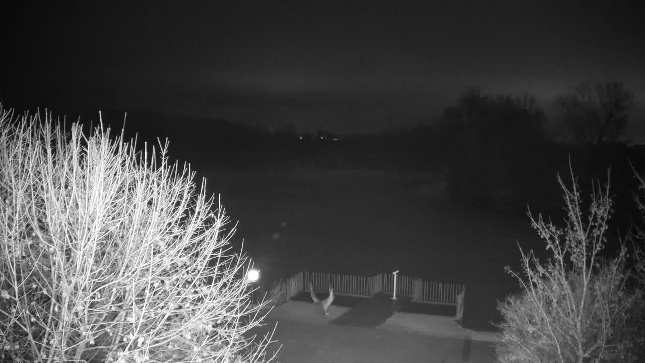 Webcam Ribnik Vrbje – Žalec