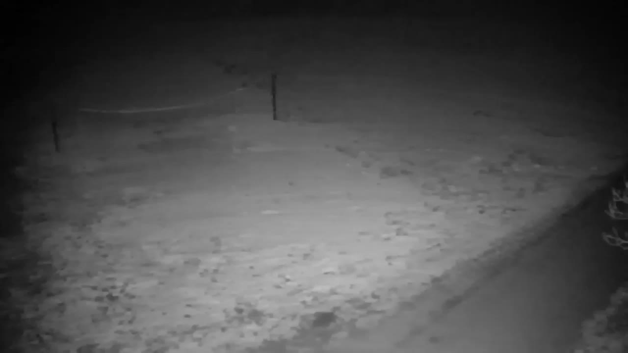 Webcam Ribnik Vrbje – Žalec