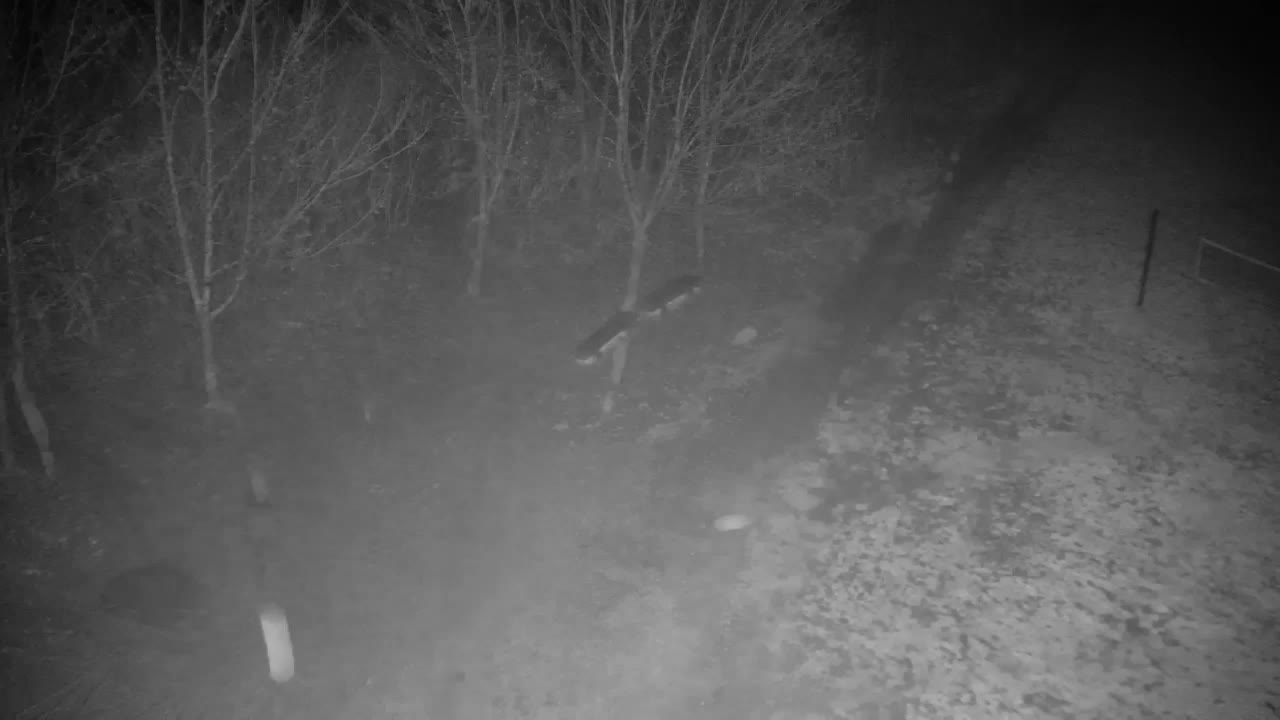 Webcam Ribnik Vrbje – Žalec