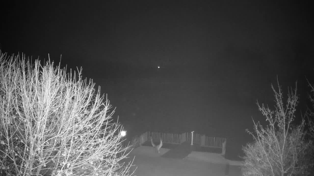 Webcam Ribnik Vrbje – Žalec