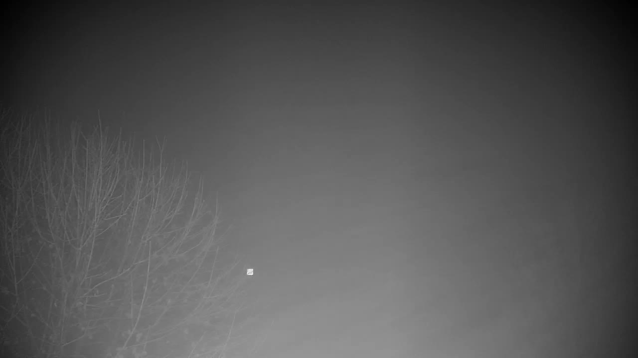 Webcam Ribnik Vrbje – Žalec