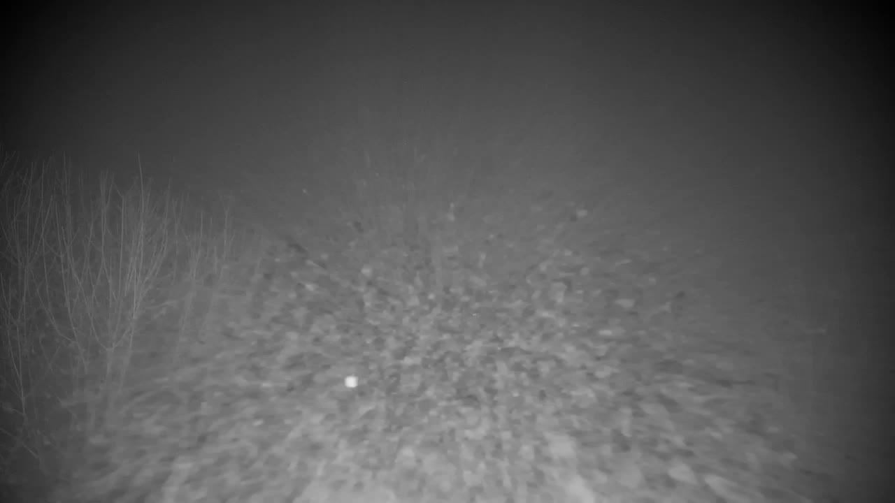 Webcam Ribnik Vrbje – Žalec