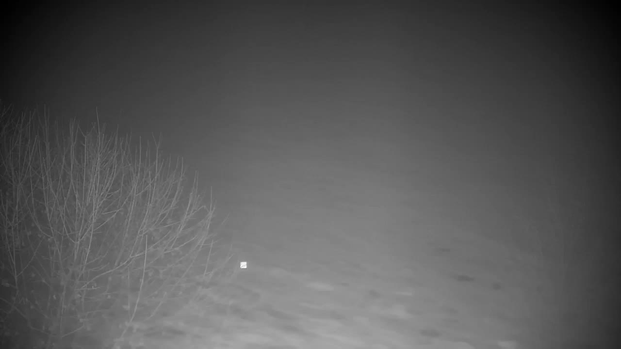 Webcam Ribnik Vrbje – Žalec