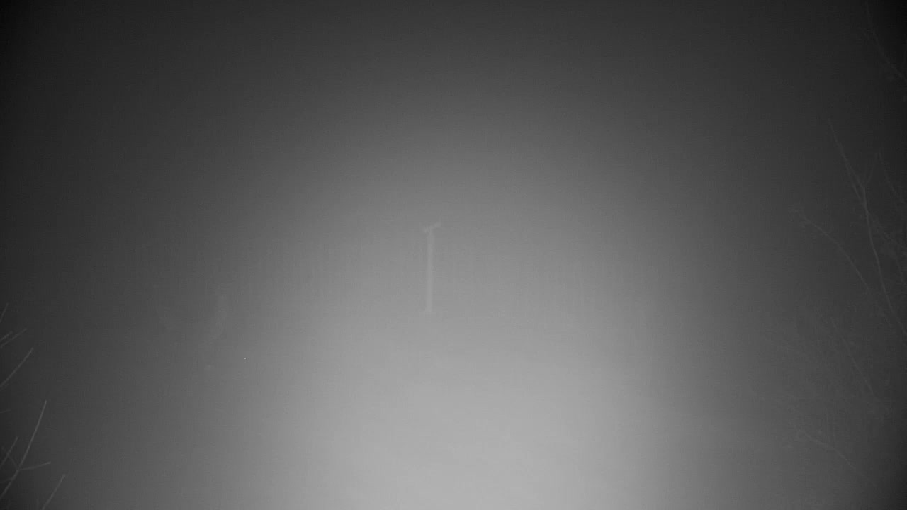 Webcam Ribnik Vrbje – Žalec