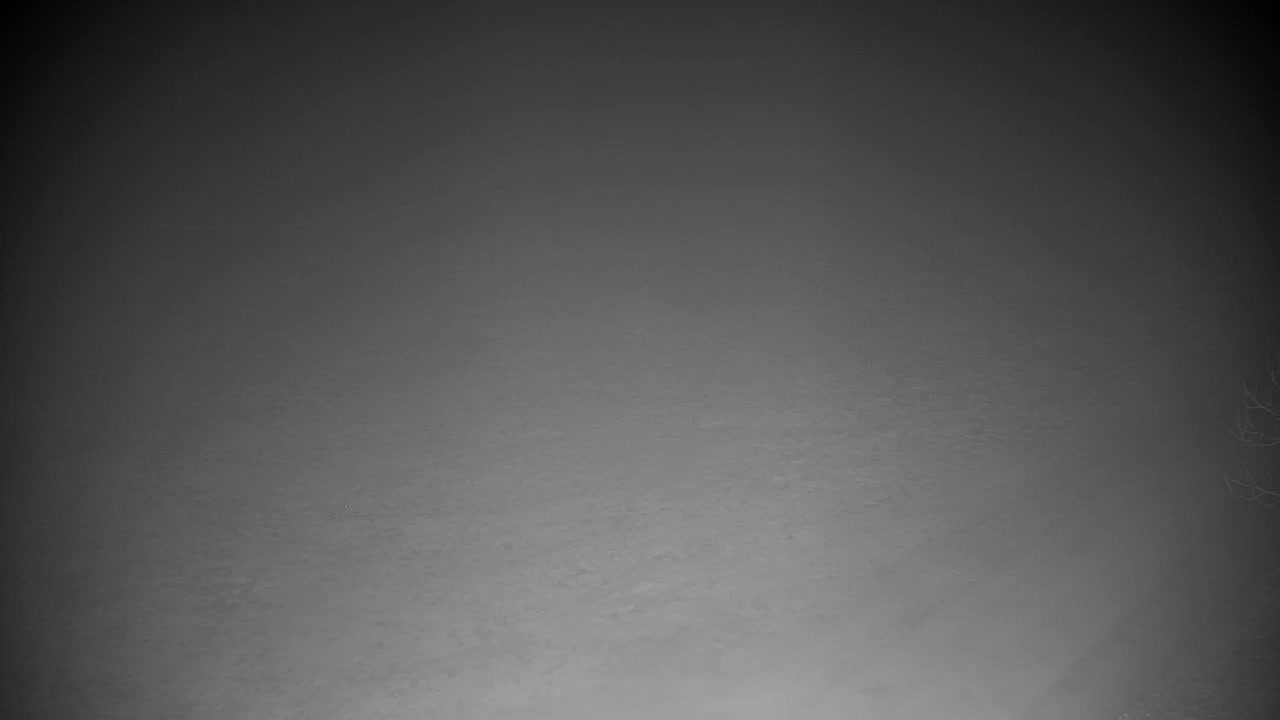 Webcam Ribnik Vrbje – Žalec