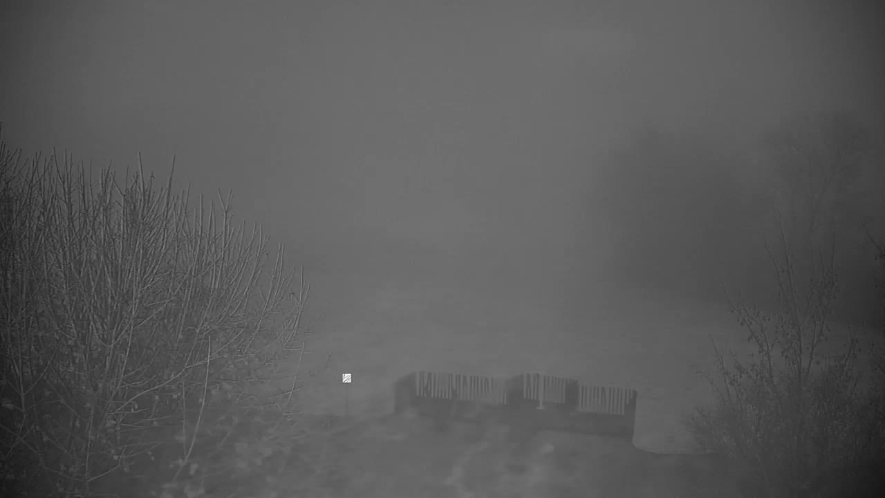 Webcam Ribnik Vrbje – Žalec