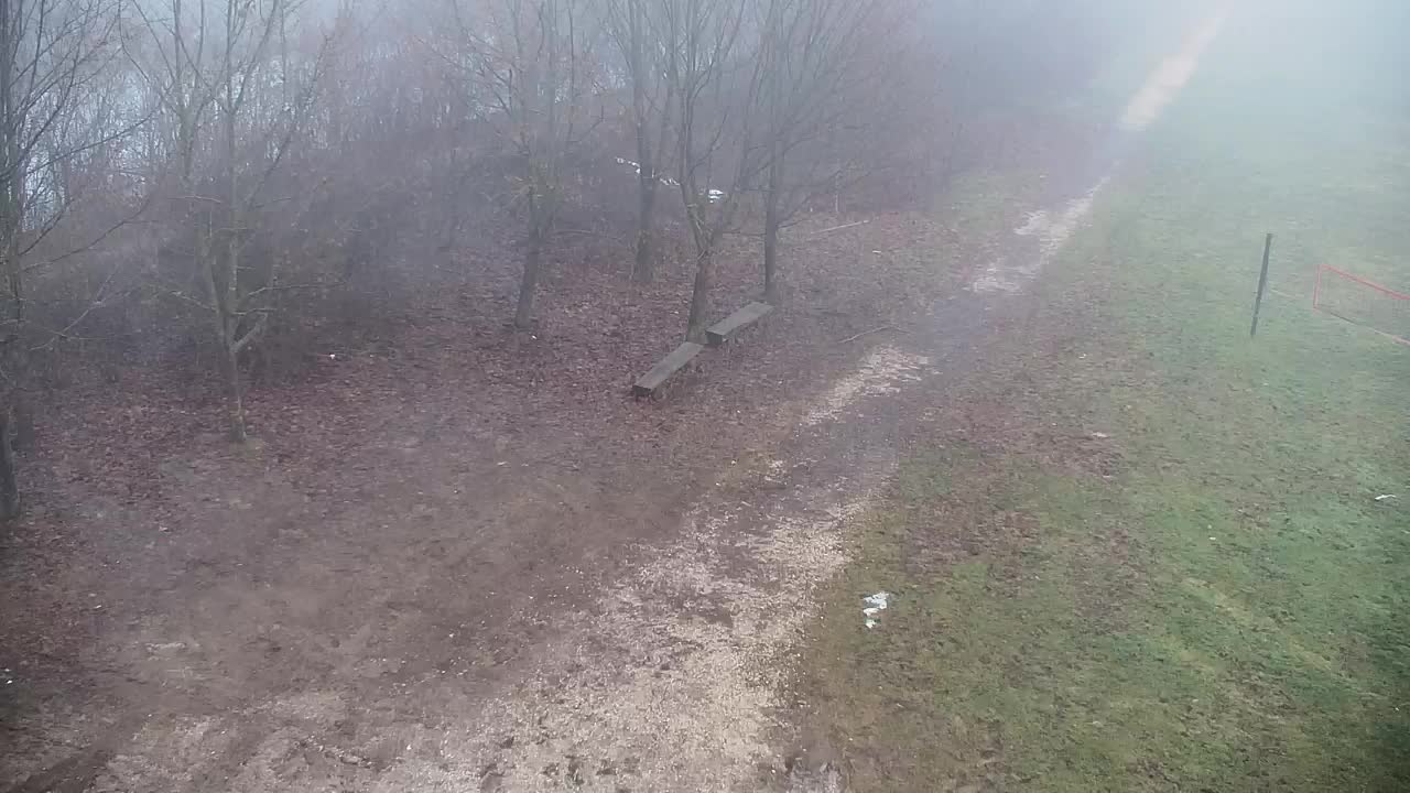 Webcam Ribnik Vrbje – Žalec