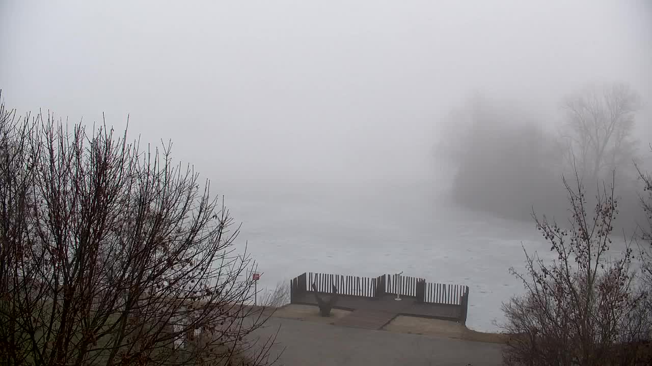 Web kamera Ribnik Vrbje – Žalec