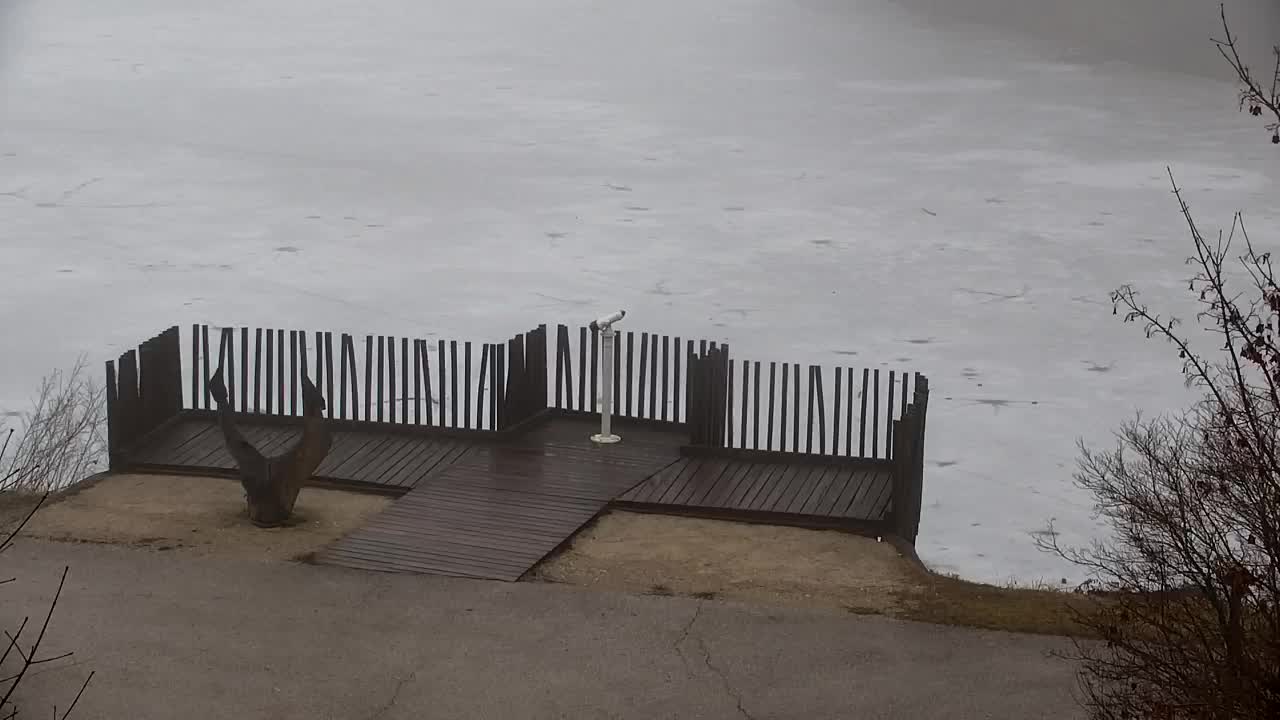 Webcam Ribnik Vrbje – Žalec