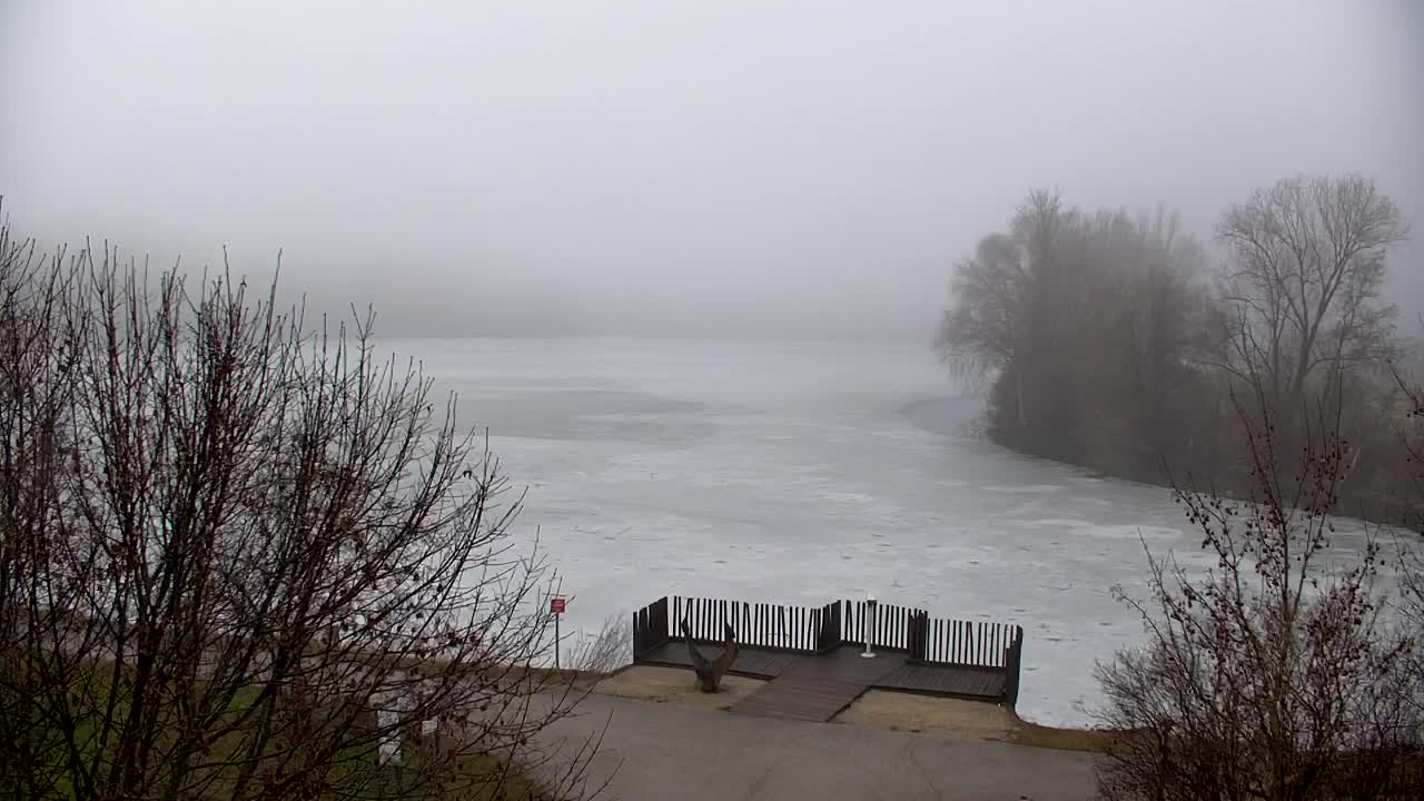 Webcam Ribnik Vrbje – Žalec