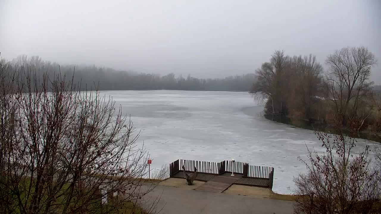 Webcam Ribnik Vrbje – Žalec