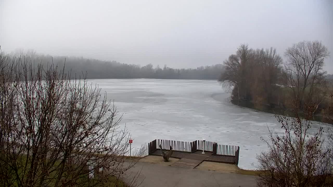 Webcam Ribnik Vrbje – Žalec