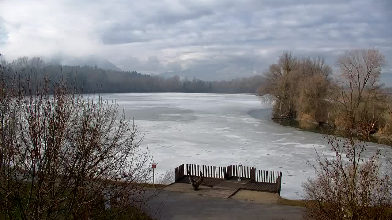 Webcam Ribnik Vrbje – Žalec