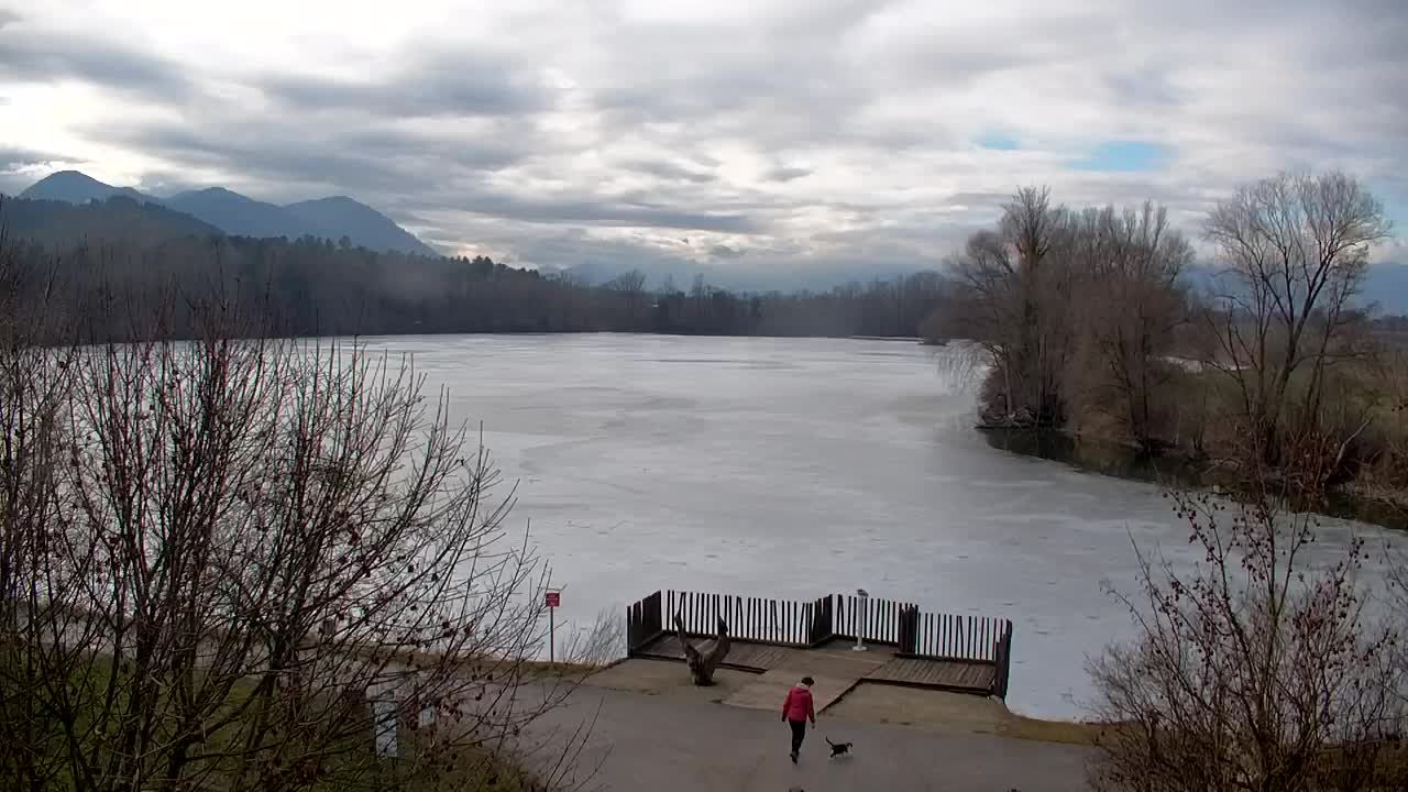 Webcam Ribnik Vrbje – Žalec
