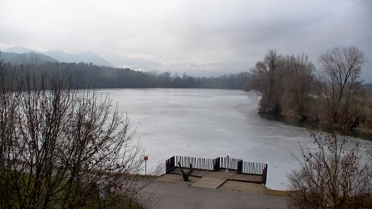 Webcam Ribnik Vrbje – Žalec