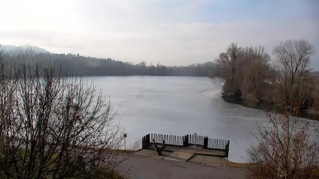 Webcam Ribnik Vrbje – Žalec