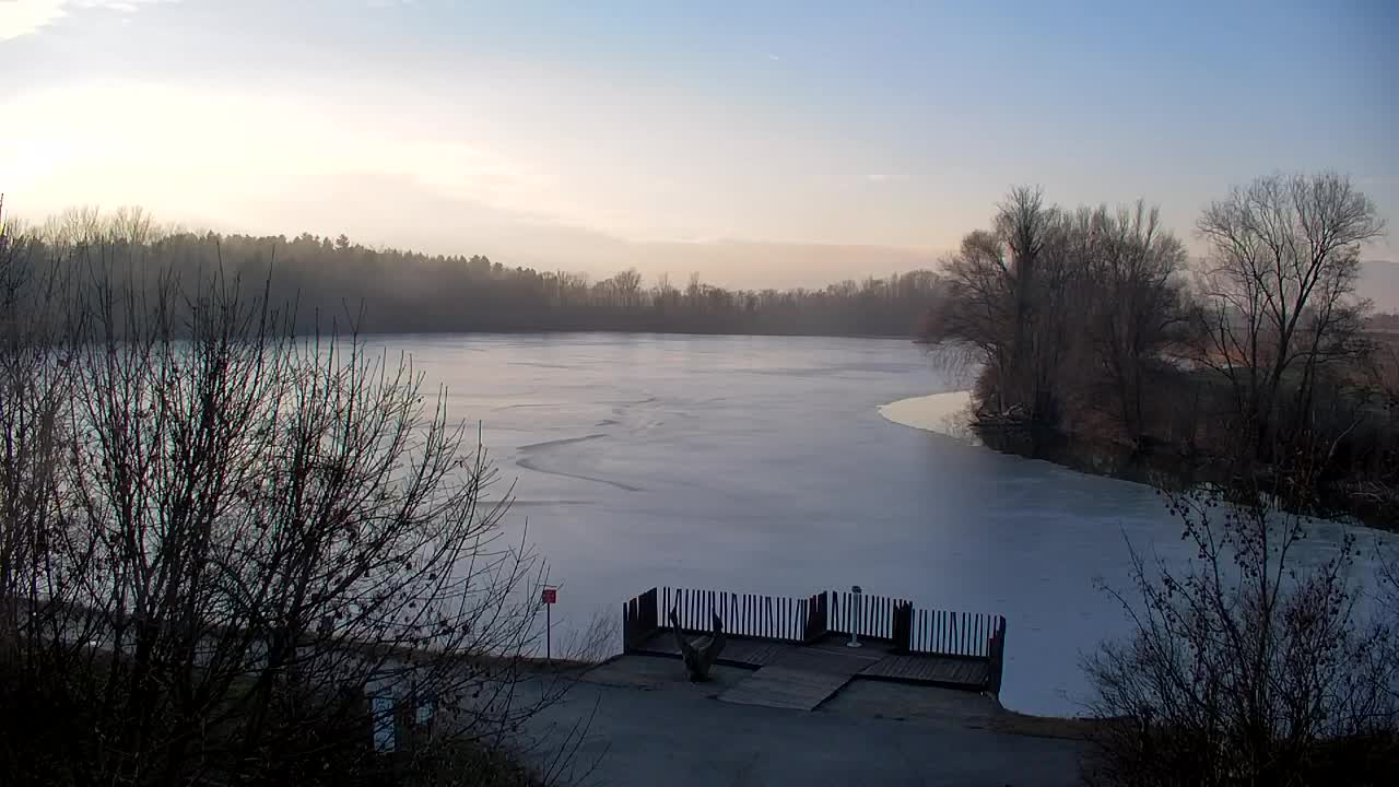 Webcam Ribnik Vrbje – Žalec