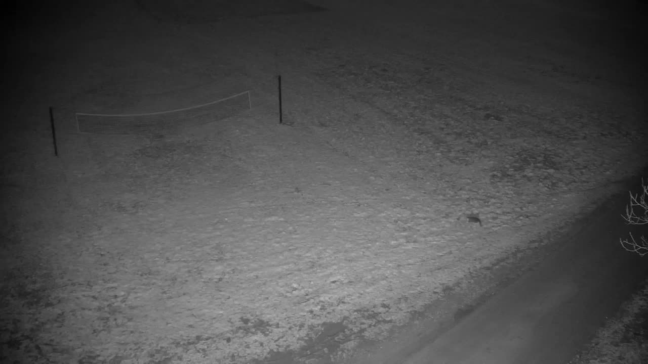 Webcam Ribnik Vrbje – Žalec