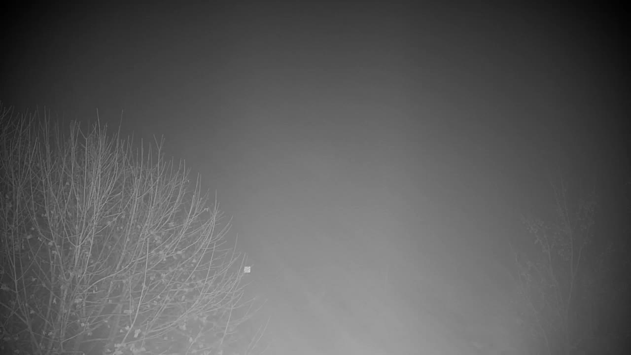 Webcam Ribnik Vrbje – Žalec