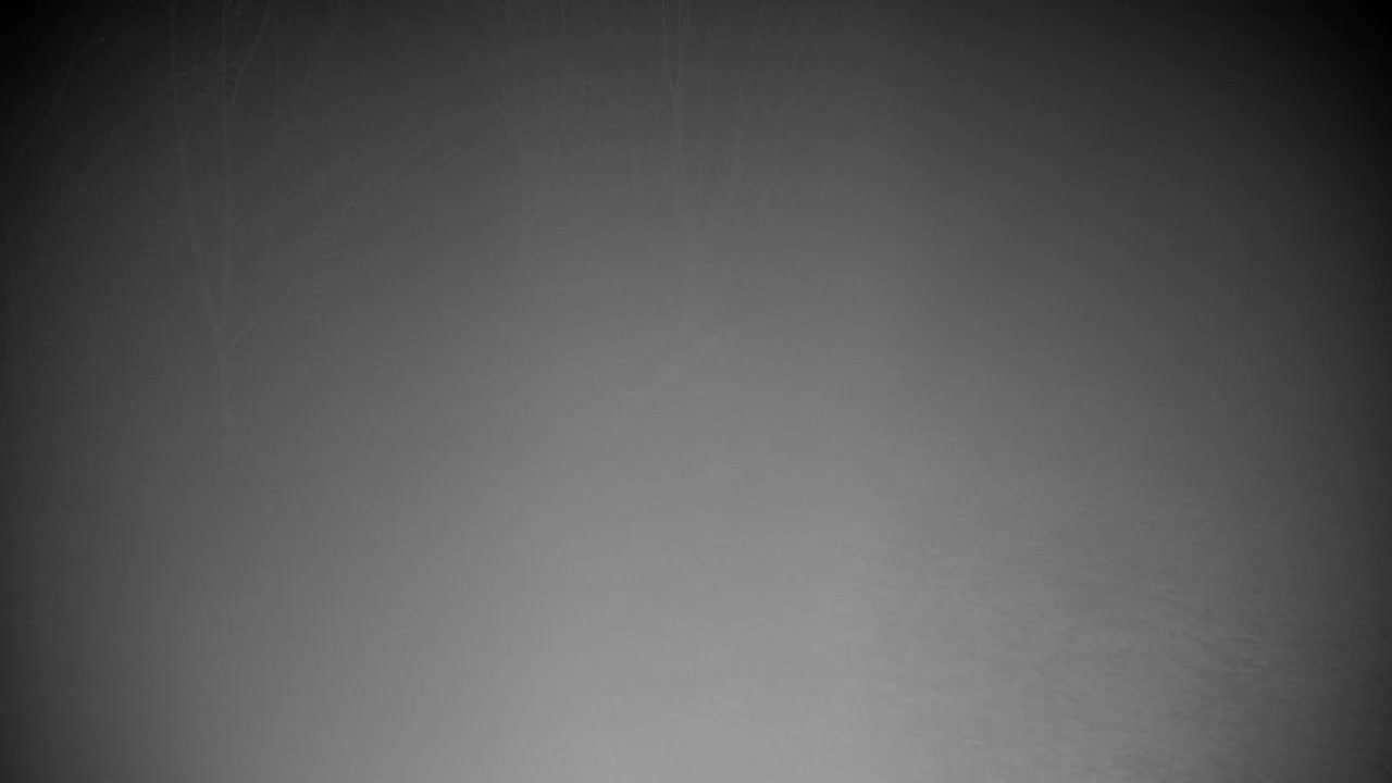 Webcam Ribnik Vrbje – Žalec