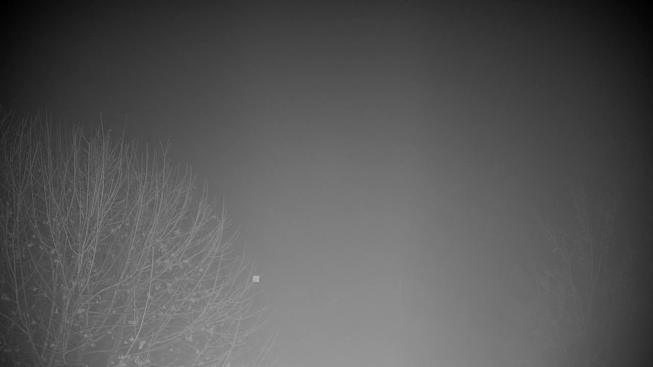 Webcam Ribnik Vrbje – Žalec